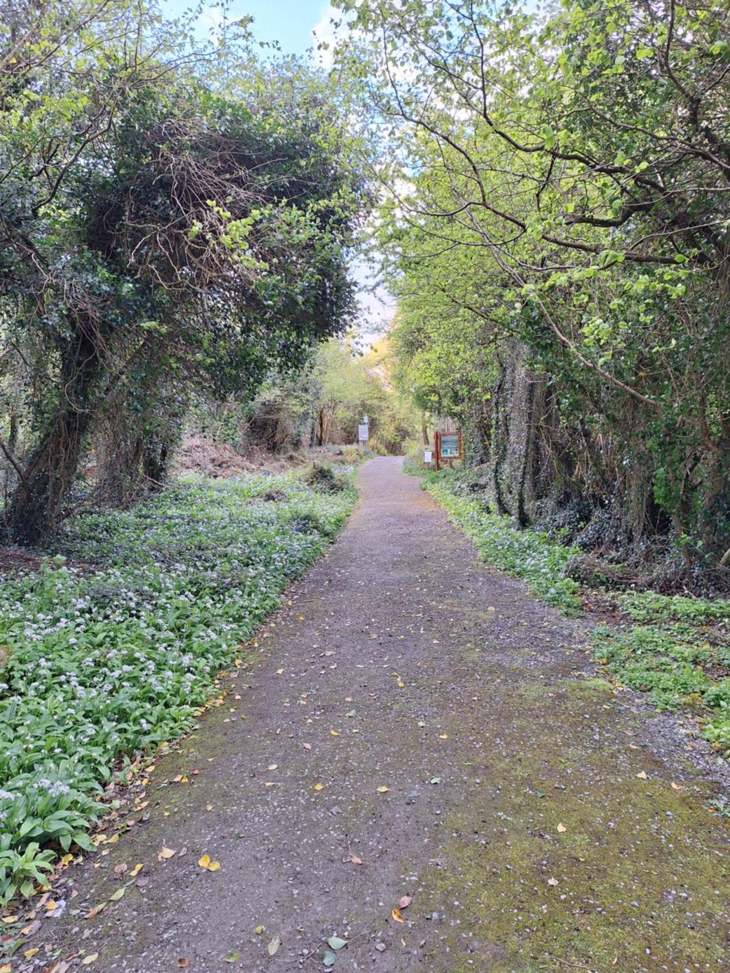 Ard Aoibhinn Roscommon Lecarrow Exterior foto